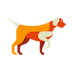Dog Chinese Zodiac Animal Sign Icon